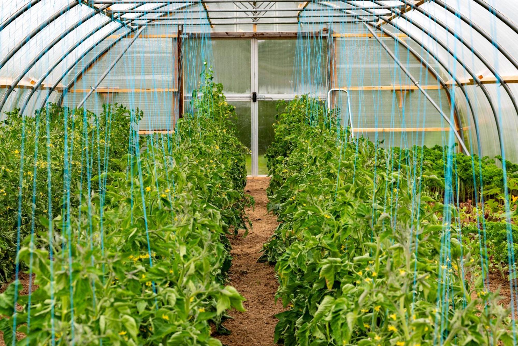 Mothir Joerth Organic Farm Guesthouse In Vallanes Exterior photo